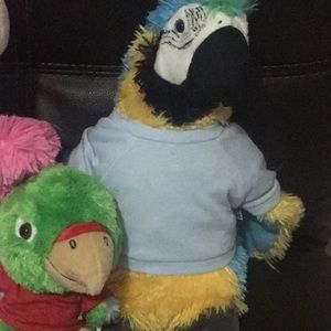 Build a bear parrots 🦜